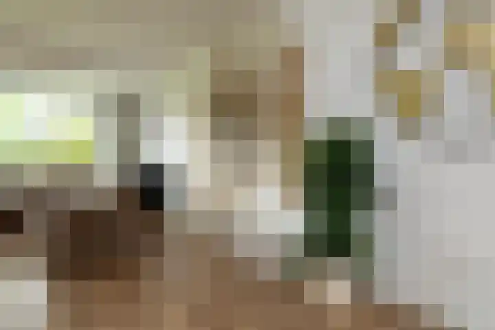 Smithstraat 6 Nunspeet thumbnail 20