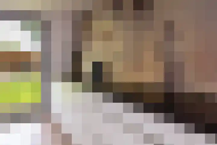 Smithstraat 6 Nunspeet thumbnail 24