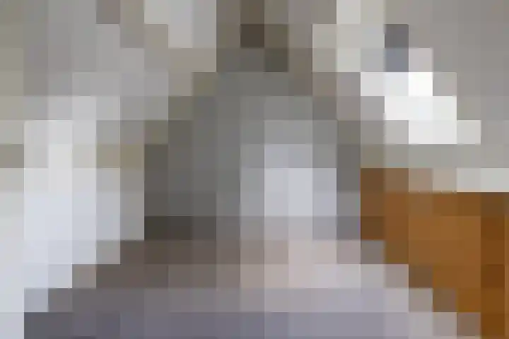 Smithstraat 6 Nunspeet thumbnail 38