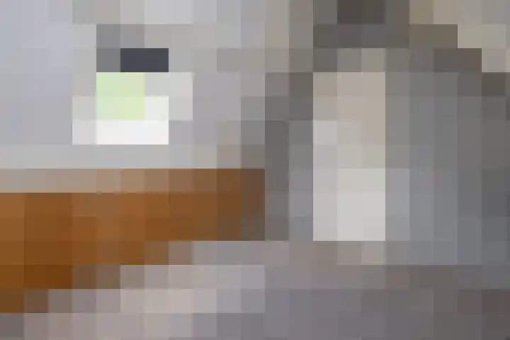 Smithstraat 6 Nunspeet thumbnail 39