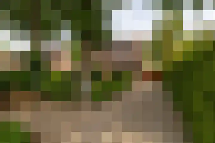 Smithstraat 6 Nunspeet thumbnail 4