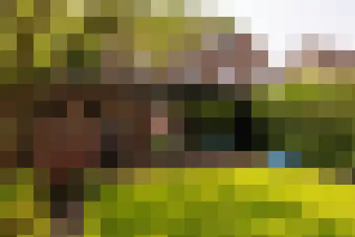 Smithstraat 6 Nunspeet thumbnail 5