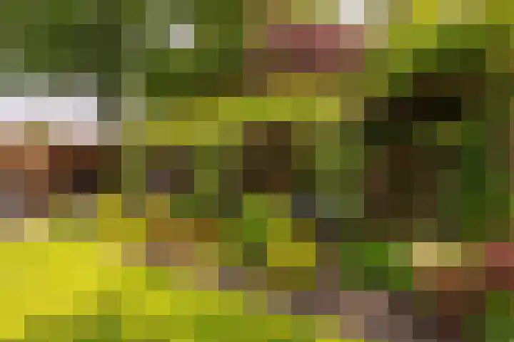Smithstraat 6 Nunspeet thumbnail 6