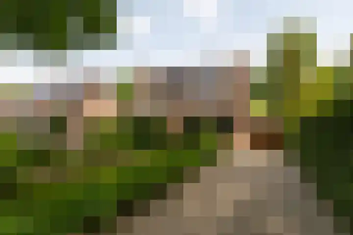 Smithstraat 6 Nunspeet thumbnail 9