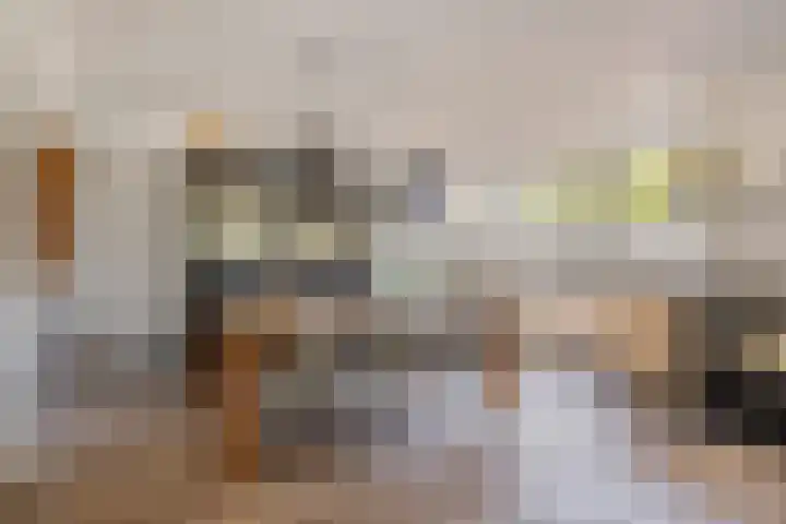 Smitseind 5 Duizel foto 3