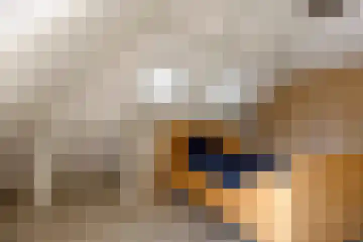 Smitseind 5 Duizel thumbnail 39