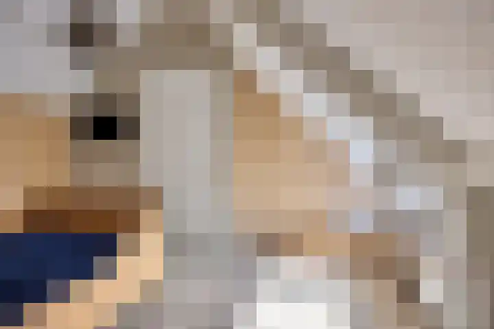 Smitseind 5 Duizel thumbnail 40