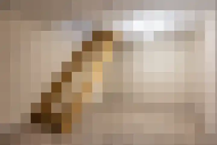 Smitseind 5 Duizel thumbnail 42