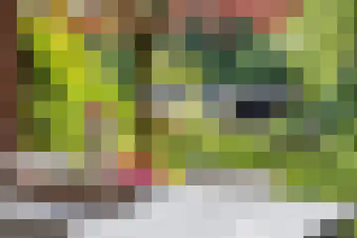 Smitseind 5 Duizel thumbnail 43
