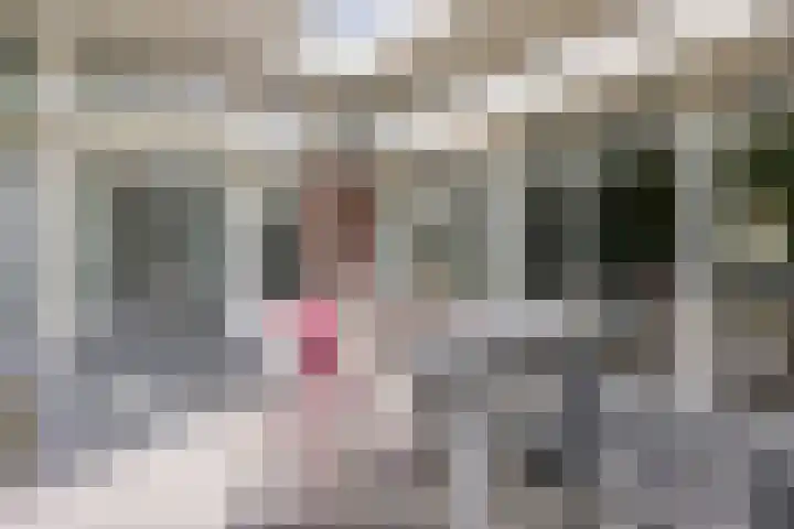Smitseind 5 Duizel thumbnail 45