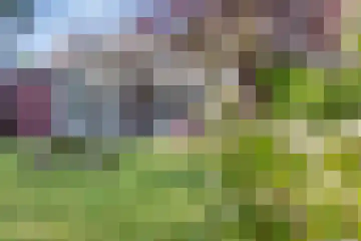 Smitseind 5 Duizel thumbnail 46