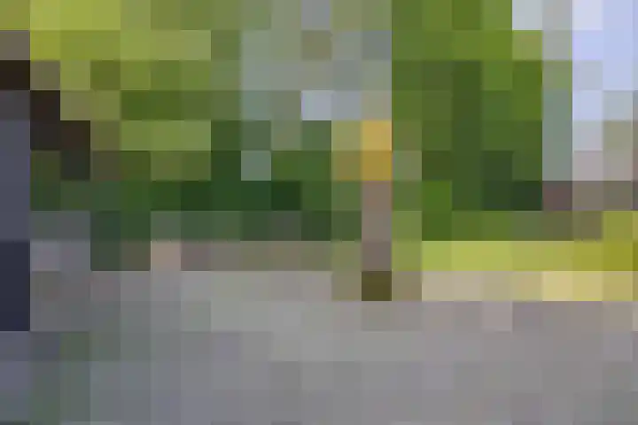 Smitseind 5 Duizel thumbnail 49