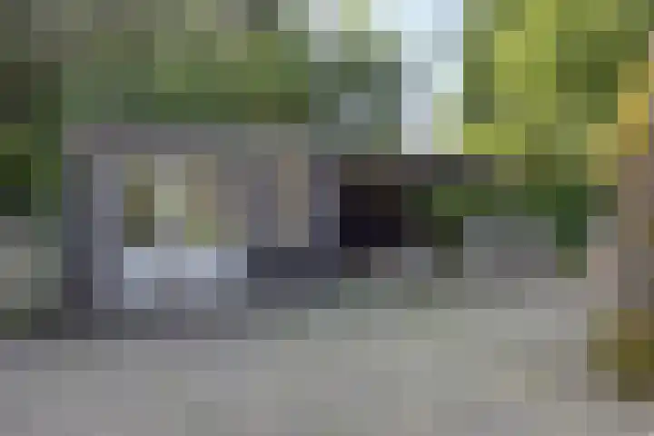 Smitseind 5 Duizel thumbnail 50