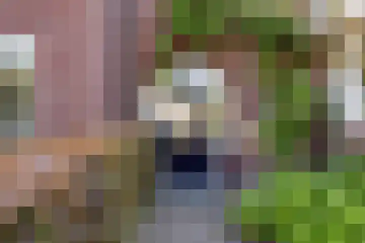 Smitseind 5 Duizel thumbnail 6
