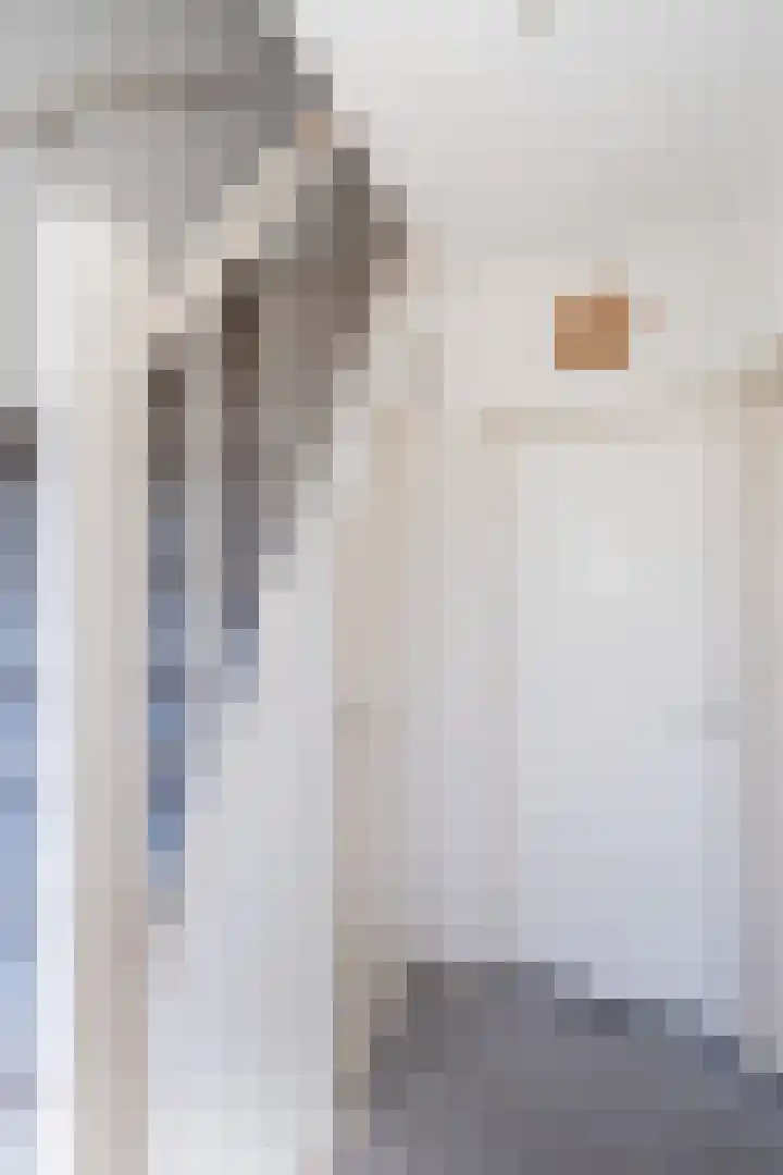 Smitskamp 26 Epe thumbnail 13