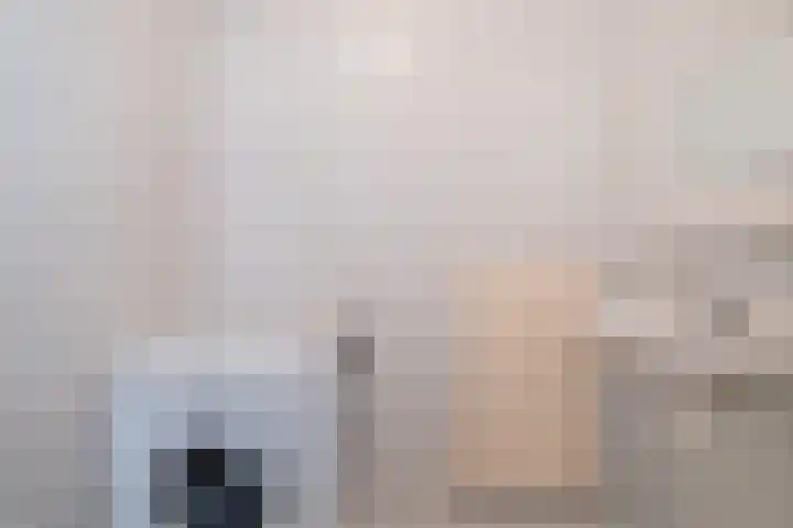 Smitskamp 26 Epe thumbnail 14