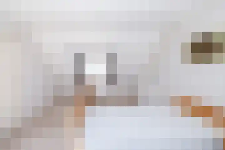 Smitskamp 26 Epe thumbnail 18