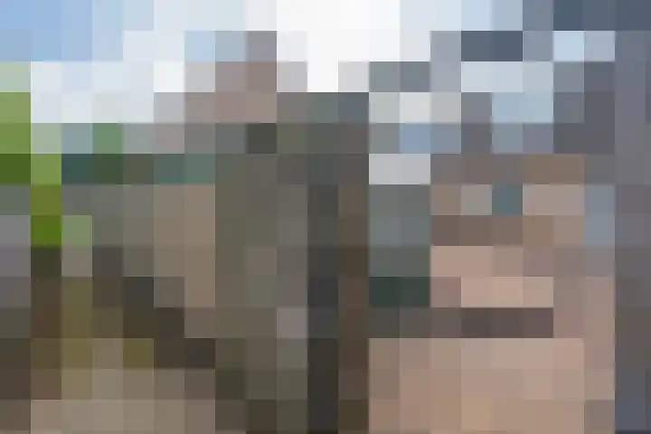 Smitskamp 26 Epe thumbnail 21