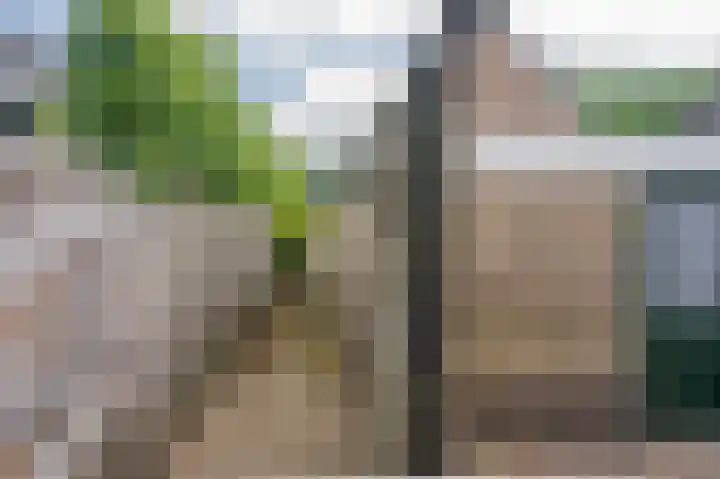 Smitskamp 26 Epe thumbnail 22