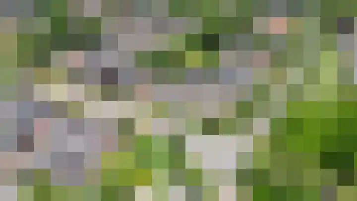 Smitskamp 26 Epe thumbnail 24