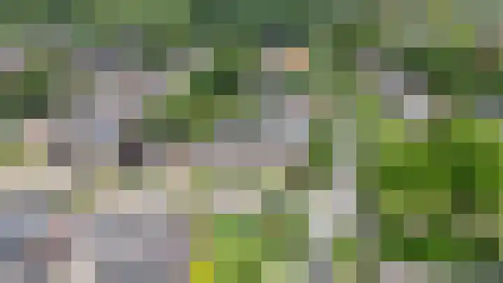 Smitskamp 26 Epe thumbnail 25