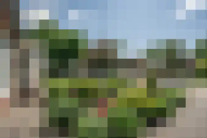 Smitskamp 26 Epe thumbnail 4