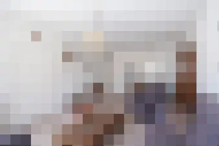 Smitskamp 26 Epe thumbnail 7