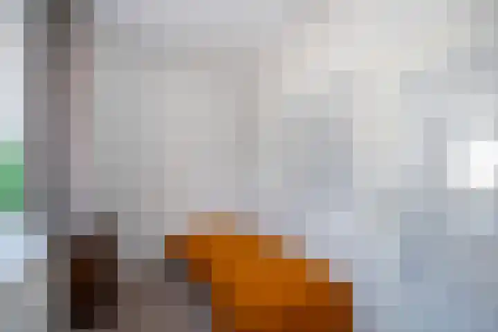 Smitskamp 26 Epe thumbnail 8