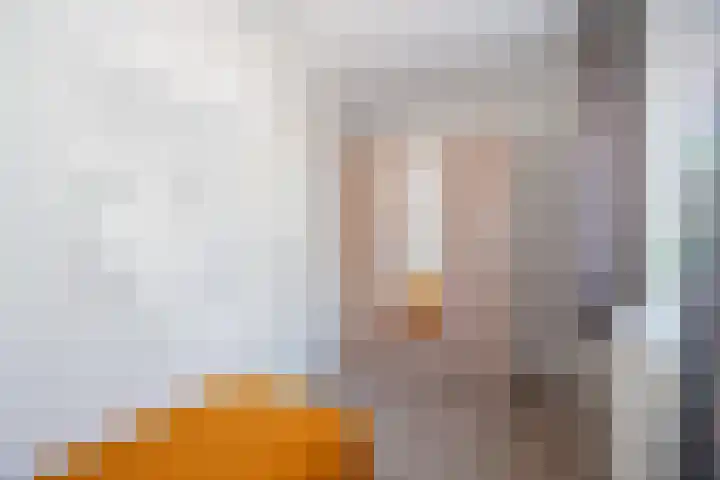 Smitskamp 26 Epe thumbnail 9
