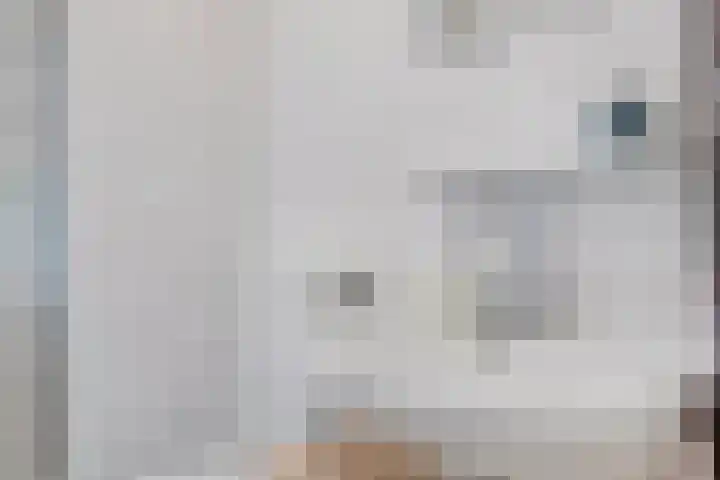 Smitstraat 43 2 Amsterdam thumbnail 18