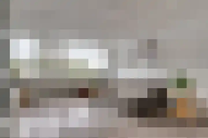 Smitsweide 100 Doesburg thumbnail 11