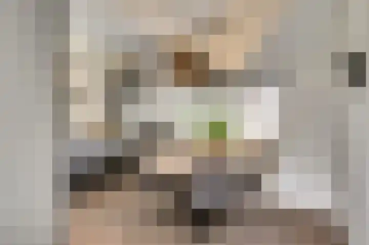 Smitsweide 100 Doesburg thumbnail 14