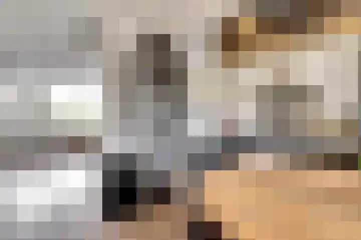 Smitsweide 100 Doesburg thumbnail 15