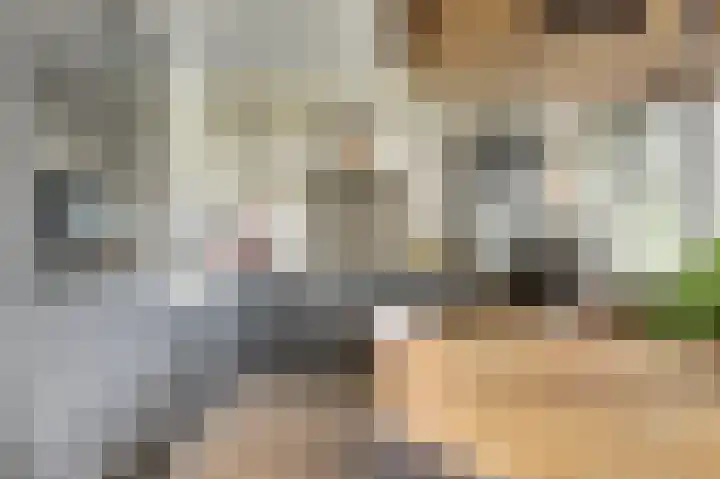Smitsweide 100 Doesburg thumbnail 16