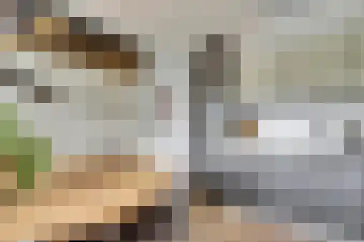 Smitsweide 100 Doesburg thumbnail 17