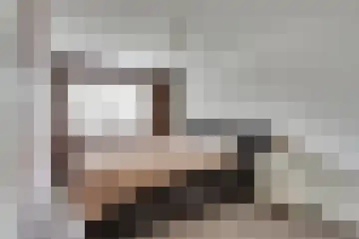 Smitsweide 100 Doesburg thumbnail 18