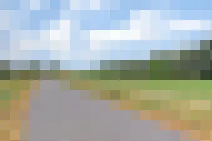Smitsweide 100 Doesburg thumbnail 28