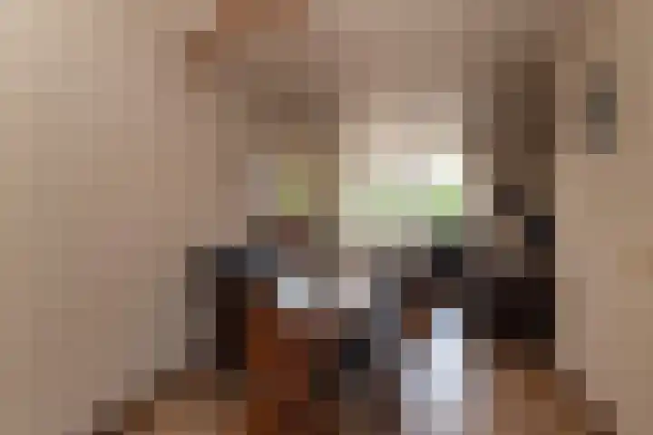 Smittenbelt 3 Rijssen thumbnail 13