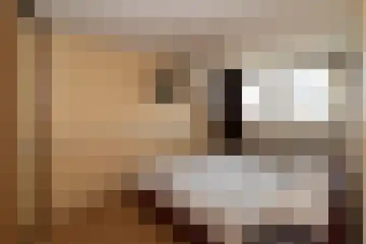 Smittenbelt 3 Rijssen thumbnail 20