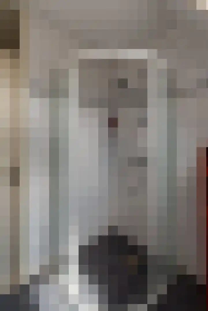 Smittenbelt 3 Rijssen thumbnail 24