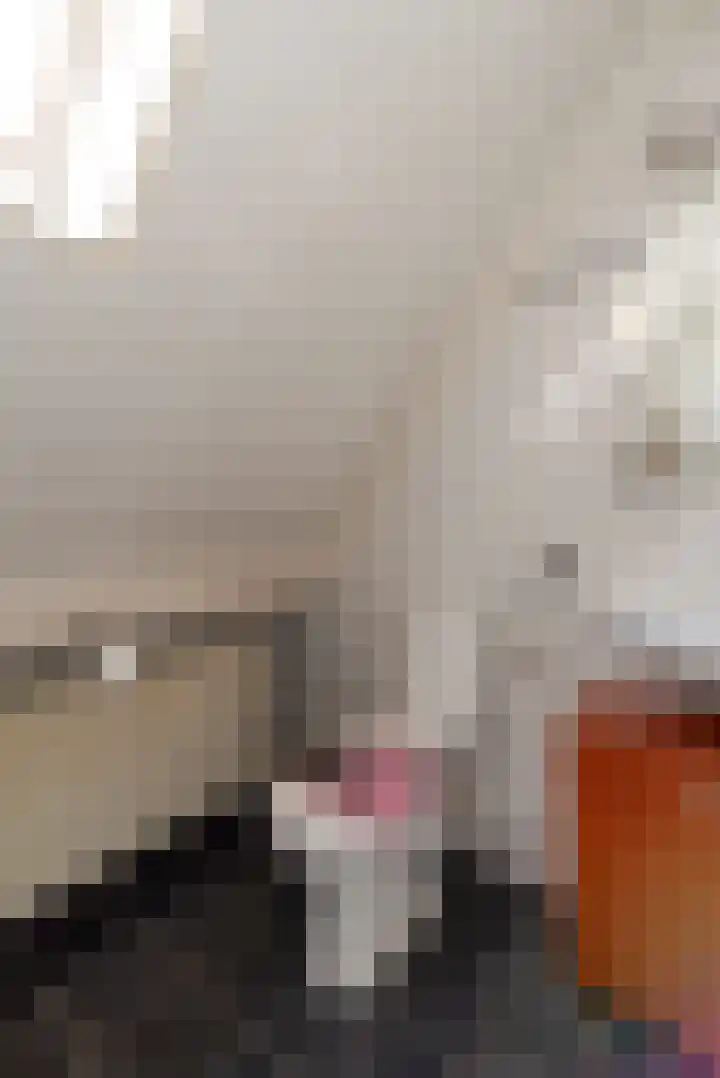 Smittenbelt 3 Rijssen thumbnail 26
