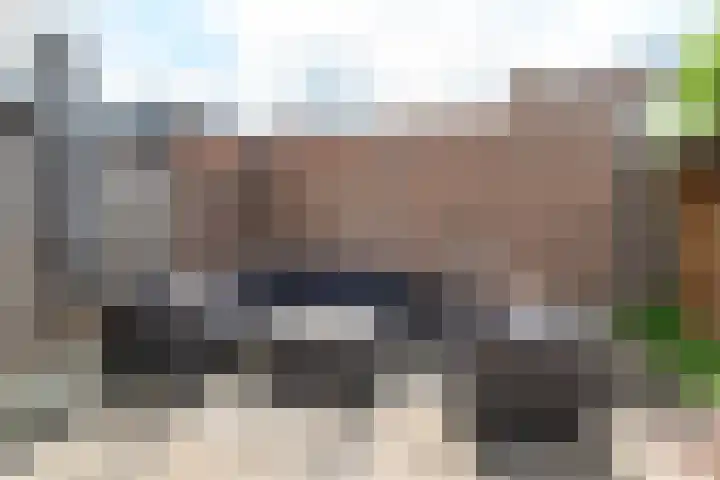 Smittenbelt 3 Rijssen thumbnail 35