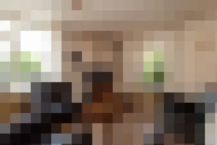 Smittenbelt 3 Rijssen thumbnail 6