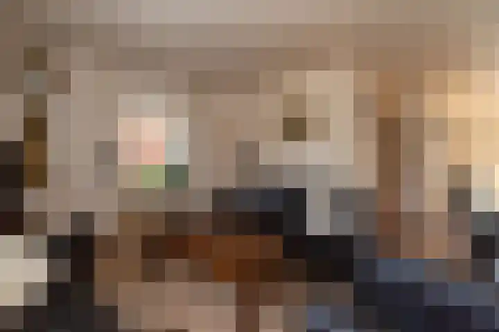 Smittenbelt 3 Rijssen thumbnail 9