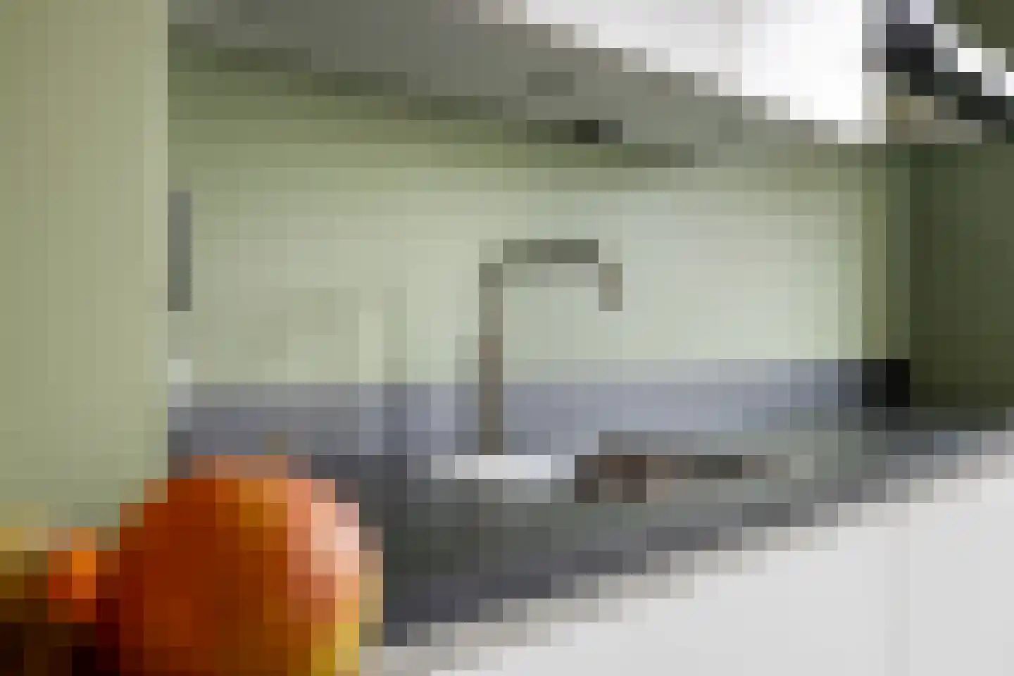 Smutslaan 123 Ermelo thumbnail 18