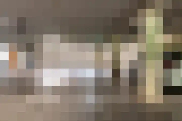 Smutslaan 19 B Ermelo thumbnail 31