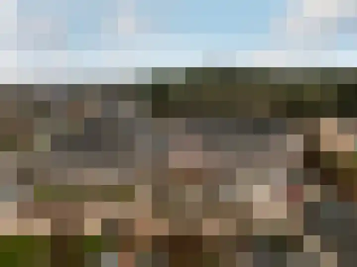 Smutslaan 19 B Ermelo thumbnail 32