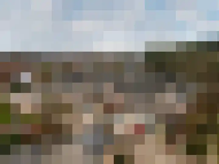 Smutslaan 19 B Ermelo thumbnail 34