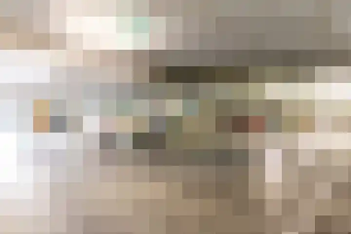 Smutslaan 21 Ermelo thumbnail 24