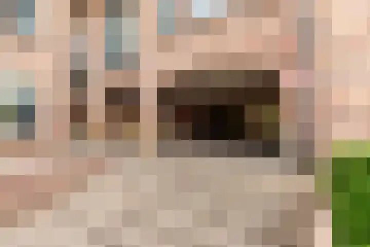 Smutslaan 21 Ermelo thumbnail 30